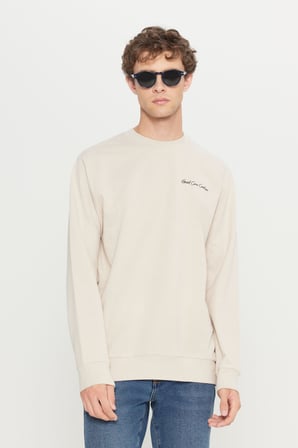 2 İplik Pamuklu Standart Fit Normal Kesim Rahat Bisiklet Yaka Sweatshirt
