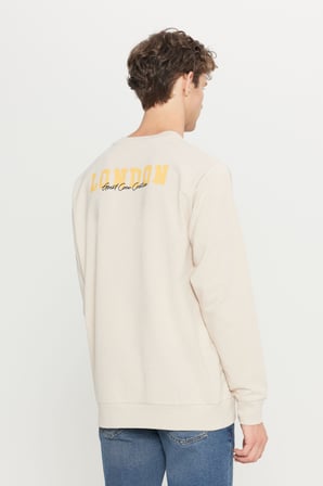 2 İplik Pamuklu Standart Fit Normal Kesim Rahat Bisiklet Yaka Sweatshirt