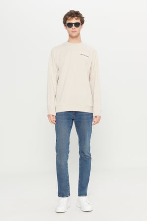 2 İplik Pamuklu Standart Fit Normal Kesim Rahat Bisiklet Yaka Sweatshirt