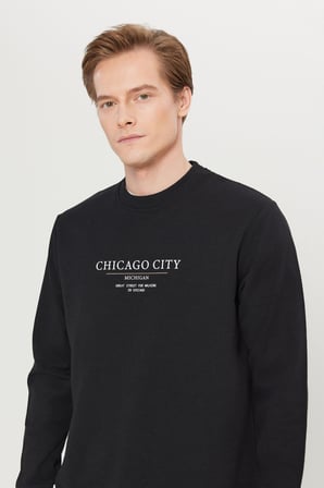 2 İplik Pamuklu Standart Fit Normal Kesim Bisiklet Yaka Sweatshirt