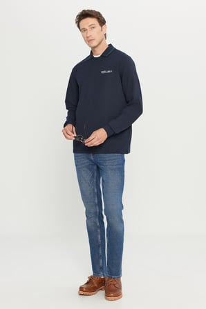 2 İplik Pamuklu Standart Fit Normal Kesim Polo Yaka Sweatshirt