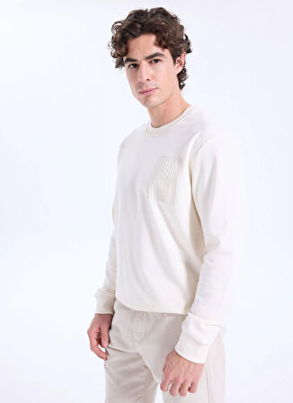 Altınyıldız Classics Bisiklet Yaka Taş Erkek Sweatshırt ACE052261046_TAS