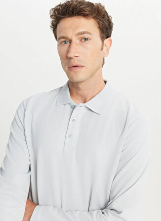 Altınyıldız Classics Polo Yaka Gri Erkek Sweatshırt ACE052261086_GRI
