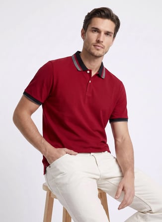 Altınyıldız Classics Bordo Erkek Slim Fit Çizgili Polo T-Shirt ACE091262034