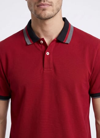 Altınyıldız Classics Bordo Erkek Slim Fit Çizgili Polo T-Shirt ACE091262034
