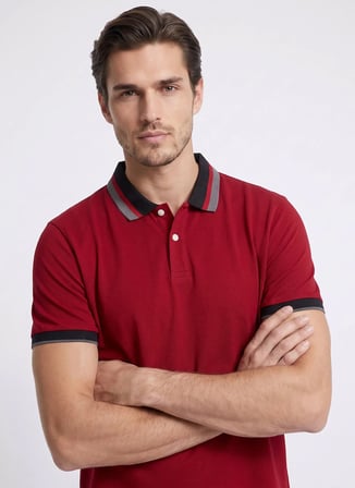 Altınyıldız Classics Bordo Erkek Slim Fit Çizgili Polo T-Shirt ACE091262034