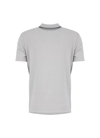Altınyıldız Classics Gri Erkek Polo T-Shirt ACE091262669