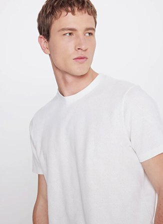 Altınyıldız Classics Ekru Erkek Slim Fit T-Shirt ACE091262705