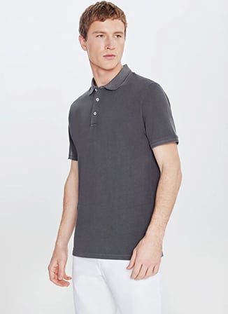 Altınyıldız Classics Antrasit Erkek Polo T-Shirt ACE091262924