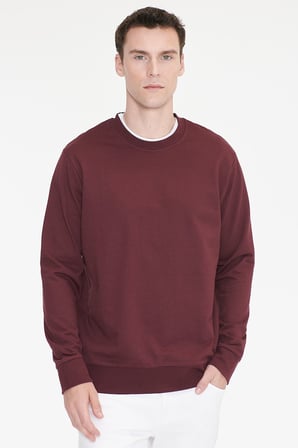 Pamuklu Standart Fit Normal Kesim 2 İplik Bisiklet Yaka Sweatshirt