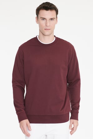 Pamuklu Standart Fit Normal Kesim 2 İplik Bisiklet Yaka Sweatshirt