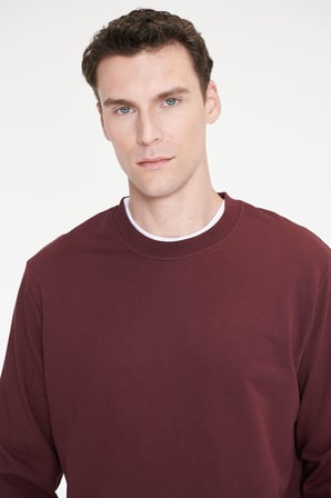 Pamuklu Standart Fit Normal Kesim 2 İplik Bisiklet Yaka Sweatshirt