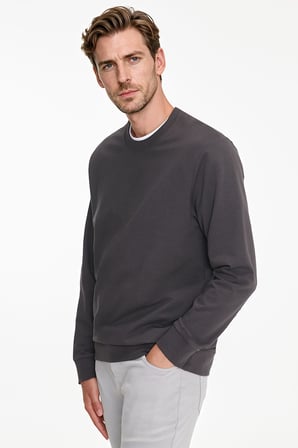 Pamuklu Standart Fit Normal Kesim 2 İplik Bisiklet Yaka Sweatshirt