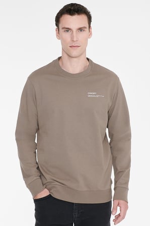 Pamuklu Standart Fit Normal Kesim Bisiklet Yaka Sweatshirt