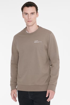 Pamuklu Standart Fit Normal Kesim Bisiklet Yaka Sweatshirt