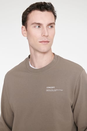 Pamuklu Standart Fit Normal Kesim Bisiklet Yaka Sweatshirt
