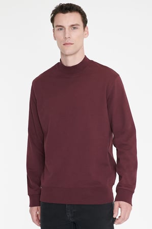 Pamuklu Standart Fit Normal Kesim Yarım Balıkçı Yaka Sweatshirt
