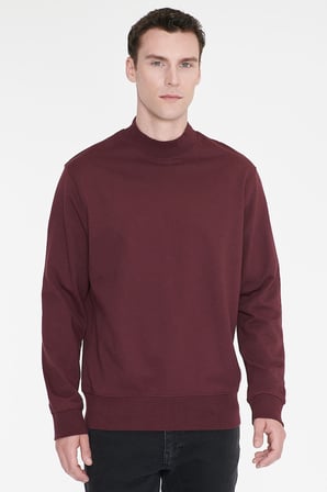 Pamuklu Standart Fit Normal Kesim Yarım Balıkçı Yaka Sweatshirt