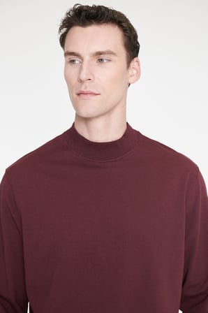 Pamuklu Standart Fit Normal Kesim Yarım Balıkçı Yaka Sweatshirt