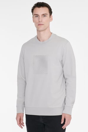 Pamuklu Standart Fit Normal Kesim Bisiklet Yaka Sweatshirt