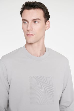 Pamuklu Standart Fit Normal Kesim Bisiklet Yaka Sweatshirt