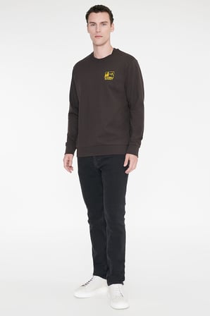 Pamuklu Standart Fit Normal Kesim Bisiklet Yaka Sweatshirt