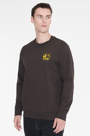 Pamuklu Standart Fit Normal Kesim Bisiklet Yaka Sweatshirt