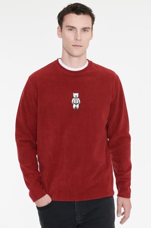 Anti-Pilling Tüylenme Yapmayan Standart Fit Bisiklet Yaka Nakışlı Sweatshirt Polar