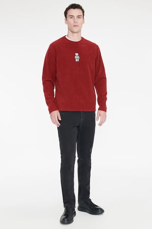 Anti-Pilling Tüylenme Yapmayan Standart Fit Bisiklet Yaka Nakışlı Sweatshirt Polar