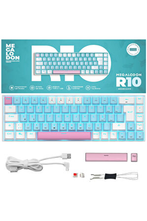 R10 Mekanik Oyuncu Klavyesi Full Anti-Ghosting Hot Swap Red Switch Buz Mavisi Işıklandırma (TürkçeQ)