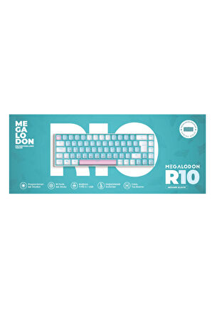 R10 Mekanik Oyuncu Klavyesi Full Anti-Ghosting Hot Swap Red Switch Buz Mavisi Işıklandırma (TürkçeQ)