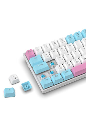 R10 Mekanik Klavye Full Anti-Ghosting Hot Swap Blue Switch Oyuncu Klavyesi (Türkçe) Buz Mavisi Işık