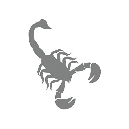 Akrep Araba Sticker 17x17 Cm Gri