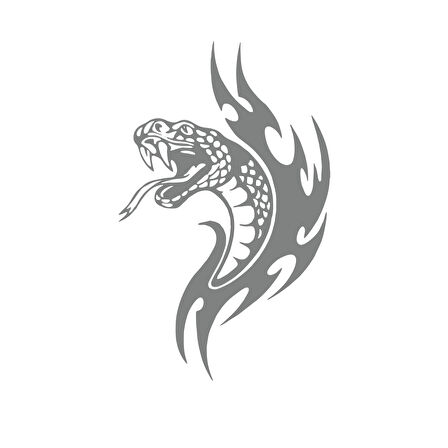 Yılan Araba Sticker 17x17 Cm Gri