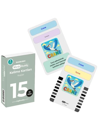 WordsBuddy Çocuklar İçin Türkçe İngilizce Sevimli Dostlar Paketi 90 Kart 3'lü Set (Cihaz Hariç)