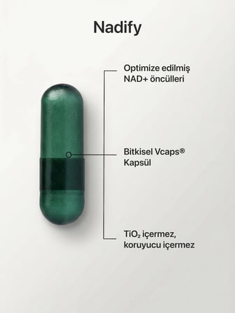 Nadify NR, NMN, PQQ, Alfa Lipoik Asit ve TMG, NAD+ Öncülü Takviye Edici Gıda 30 Kapsül