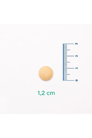 Velavit V-Brewer's Yeast 400 Tablet