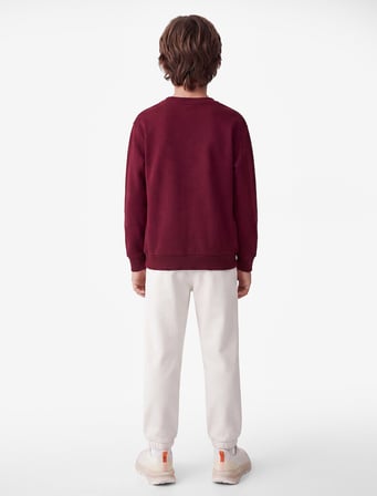Pamuklu Uzun Kollu Bisiklet Yaka Baskılı Sweatshirt