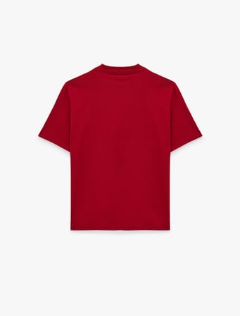 Regular Fit Bisiklet Yaka Pamuklu Basic Kısa Kollu Tişört
