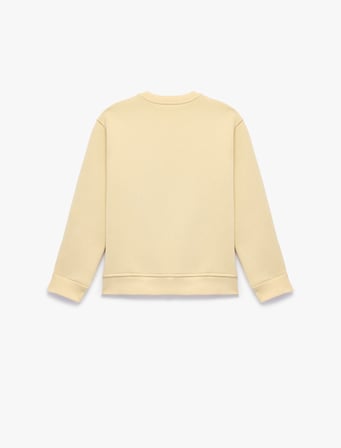 Uzun Kollu Fiyonk Baskılı Üç İplik Şardonlu Bisiklet Yaka Sweatshirt