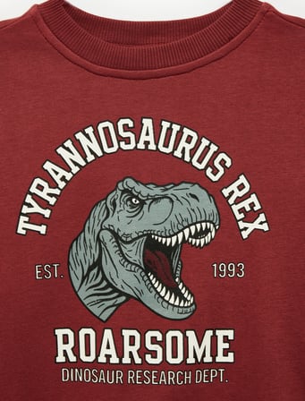 Dinozor Baskılı Bisiklet Yaka Uzun Kollu Sweatshirt