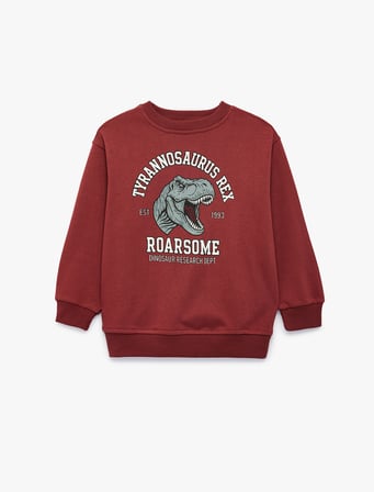 Dinozor Baskılı Bisiklet Yaka Uzun Kollu Sweatshirt