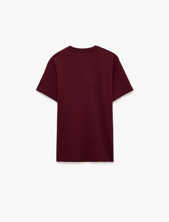 Regular Fit Kısa Kollu Bisiklet Yaka Tişört