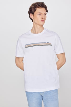 %100 Pamuk Regular Fit Normal Kesim Bisiklet Yaka Logo Detaylı Tişört