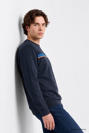 Pamuklu Regular Fit Normal Kesim Bisiklet Yaka Logo Detaylı Sweatshirt