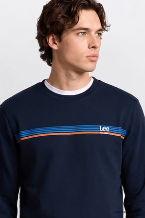 Pamuklu Regular Fit Normal Kesim Bisiklet Yaka Sweatshirt