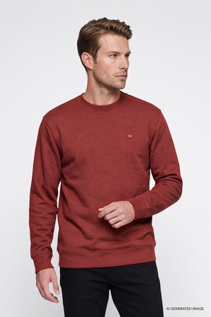Pamuklu Selanik Regular Fit Normal Kesim Bisiklet Yaka Sweatshirt