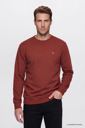 Pamuklu Selanik Regular Fit Normal Kesim Bisiklet Yaka Sweatshirt