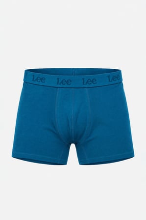 Regular Fit Normal Kesim Mavi Tekli Boxer