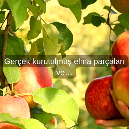 Leila Elma & Tarçın Badem Kurabiye 40 Gr x 3 Adet 